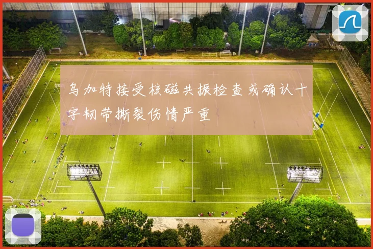 乌加特接受核磁共振检查或确认十字韧带撕裂伤情严重