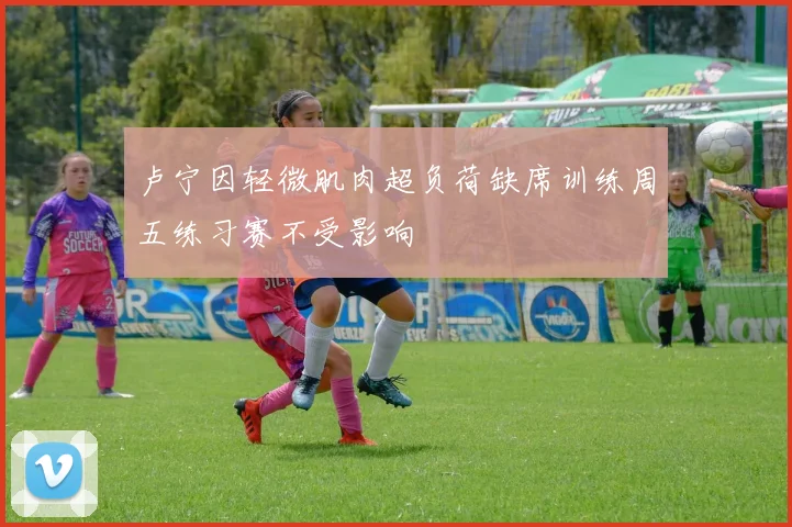 卢宁因轻微肌肉超负荷缺席训练周五练习赛不受影响